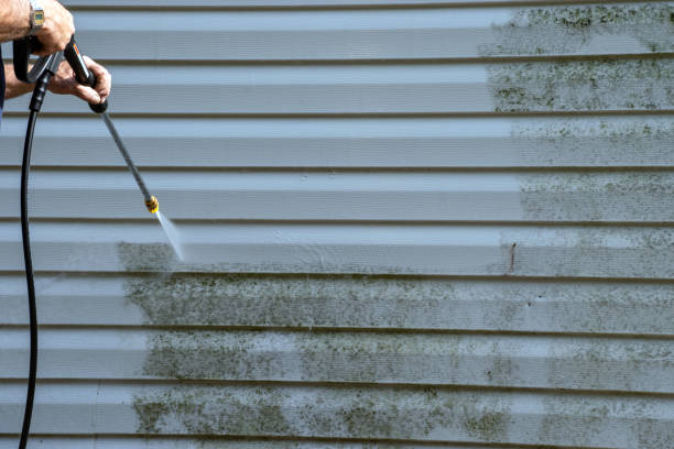 Best Yard Waste Removal  in Newpt, OR